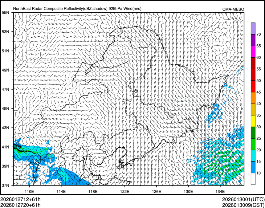 01/27 20时 +061小时
