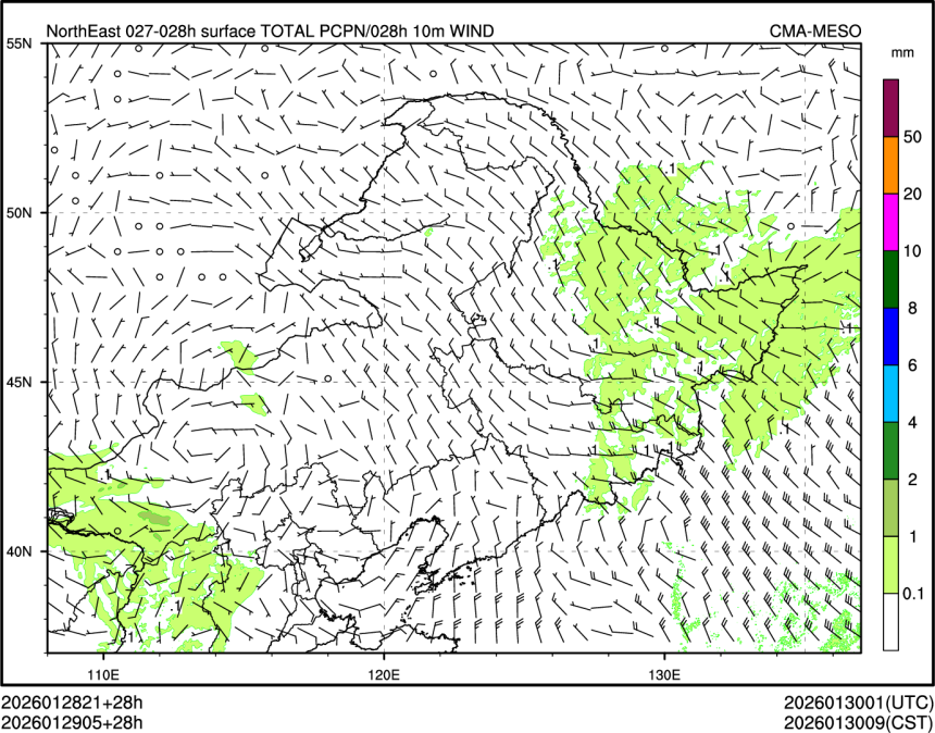 01/29 05时 +028小时
