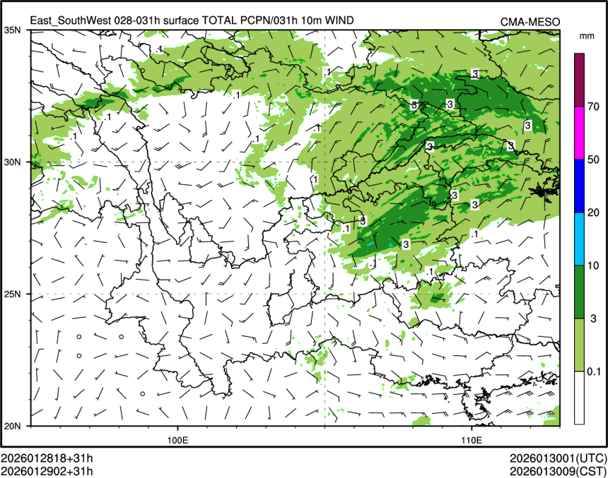 01/29 02时 +031小时