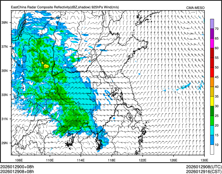 01/29 08时 +008小时