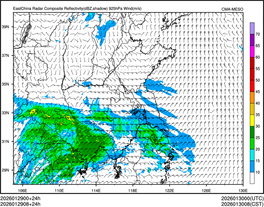 01/29 08时 +024小时