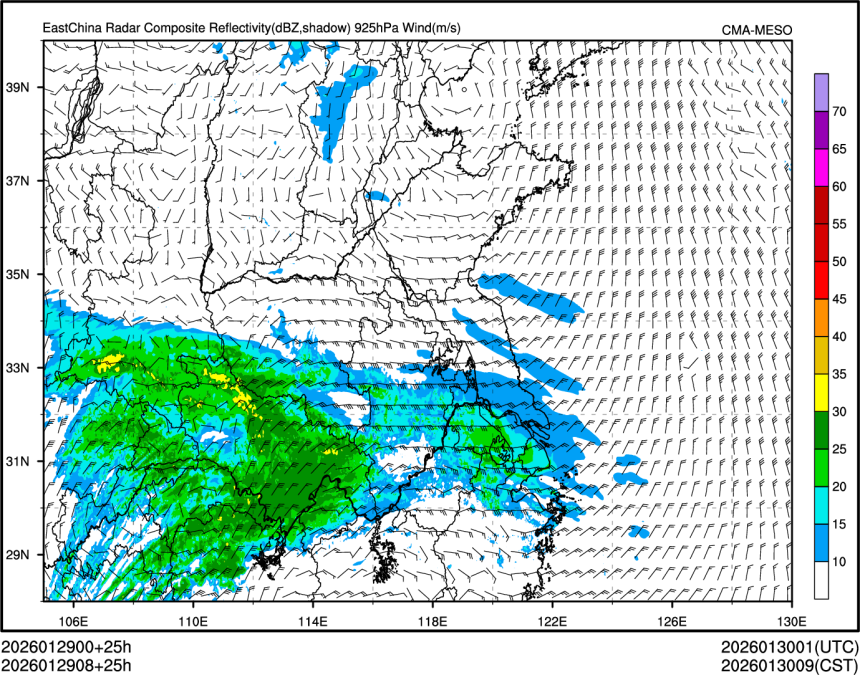 01/29 08时 +025小时