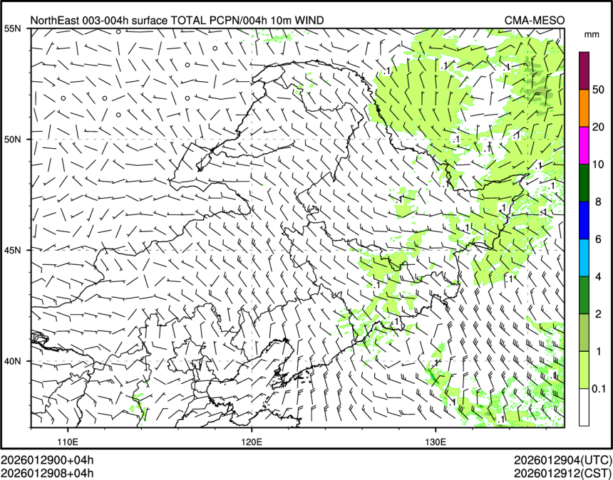 01/29 08时 +004小时