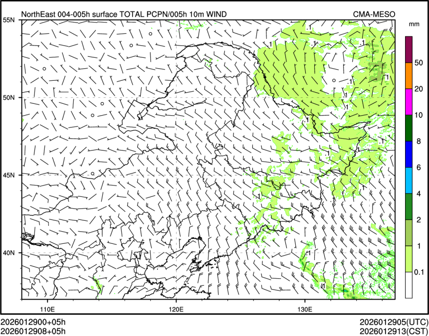 01/29 08时 +005小时