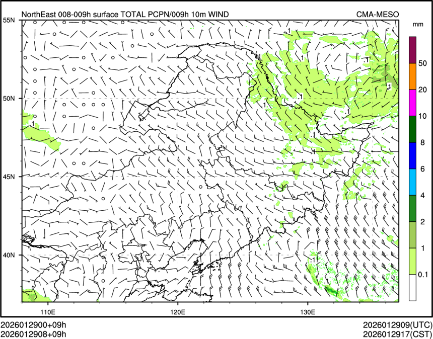 01/29 08时 +009小时