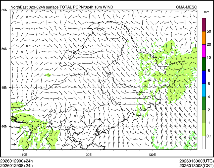 01/29 08时 +024小时