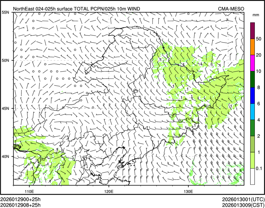 01/29 08时 +025小时