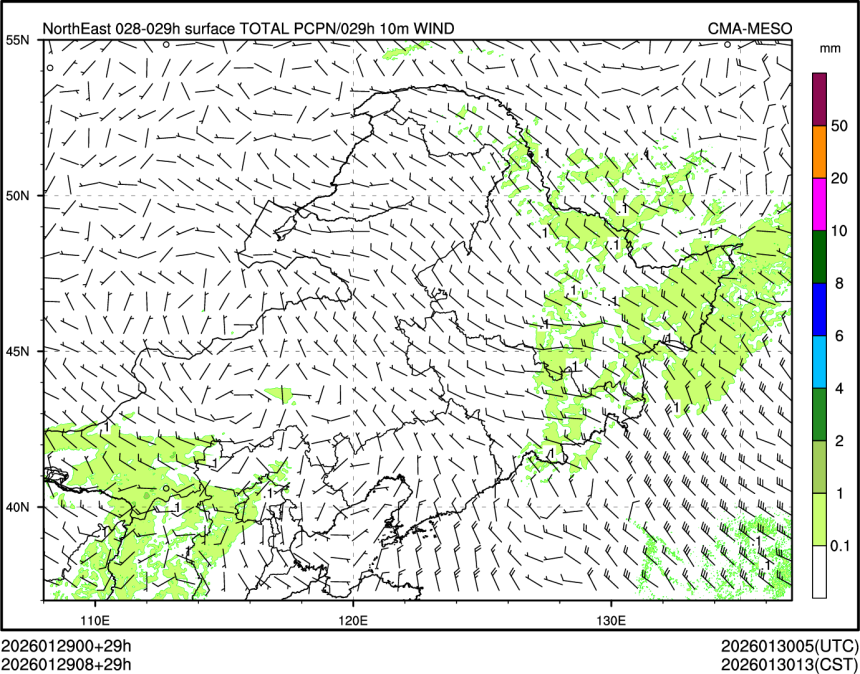 01/29 08时 +029小时