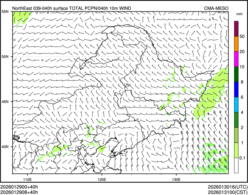 01/29 08时 +040小时