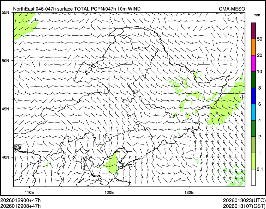 01/29 08时 +047小时