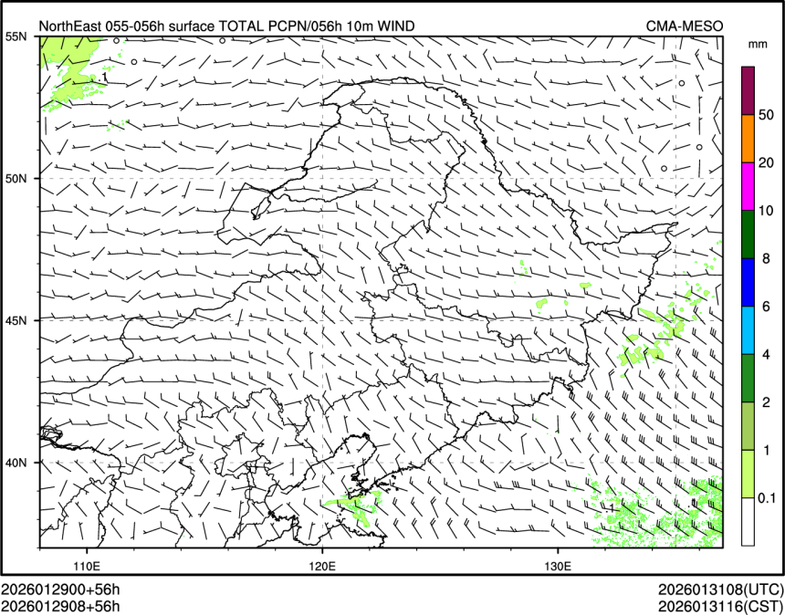 01/29 08时 +056小时