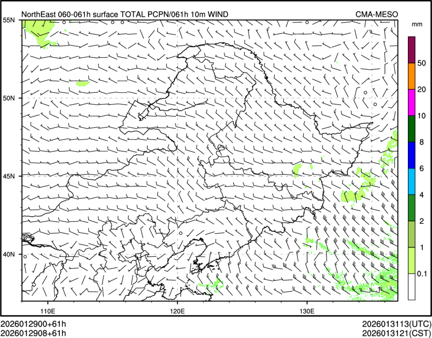 01/29 08时 +061小时