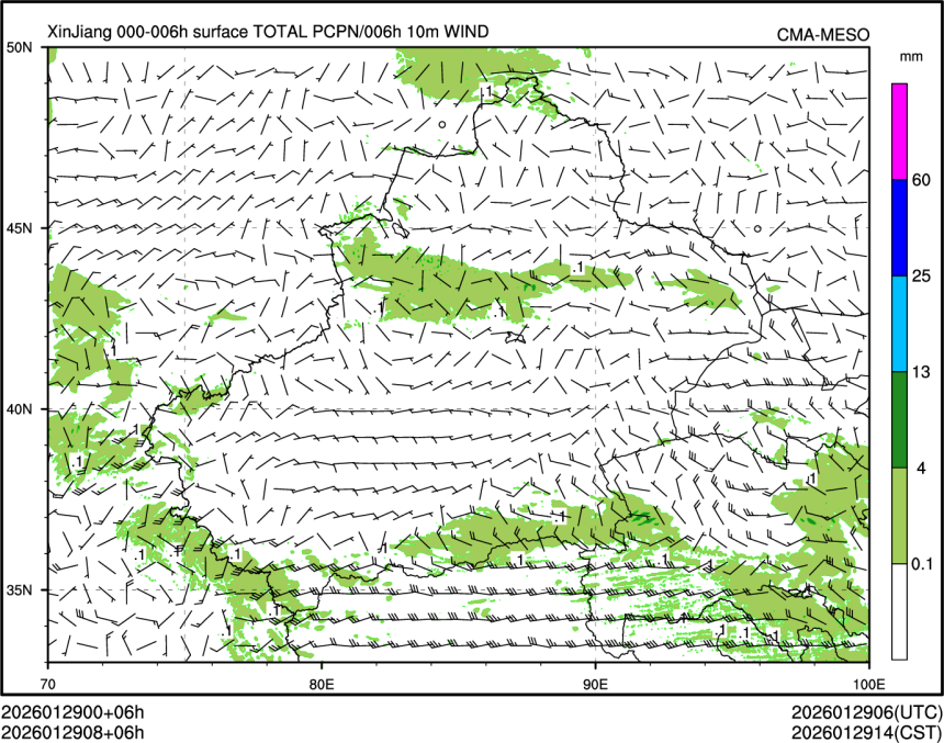 01/29 08时 +006小时