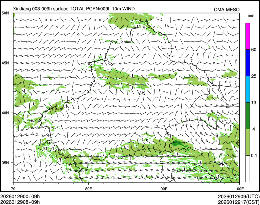 01/29 08时 +009小时