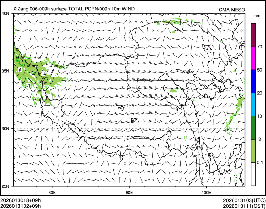 01/31 02时 +009小时