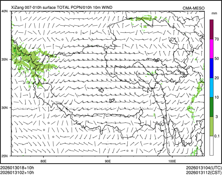 01/31 02时 +010小时