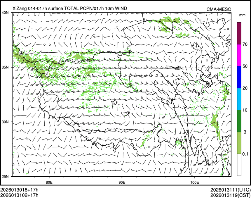 01/31 02时 +017小时