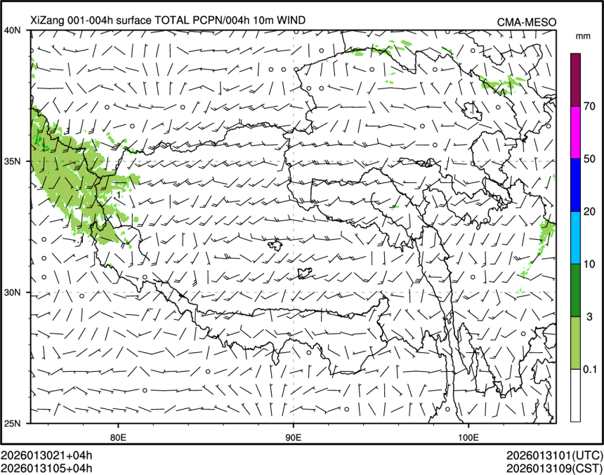 01/31 05时 +004小时