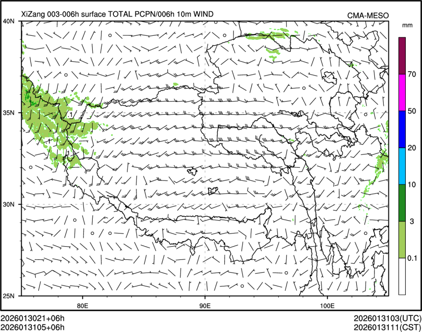 01/31 05时 +006小时
