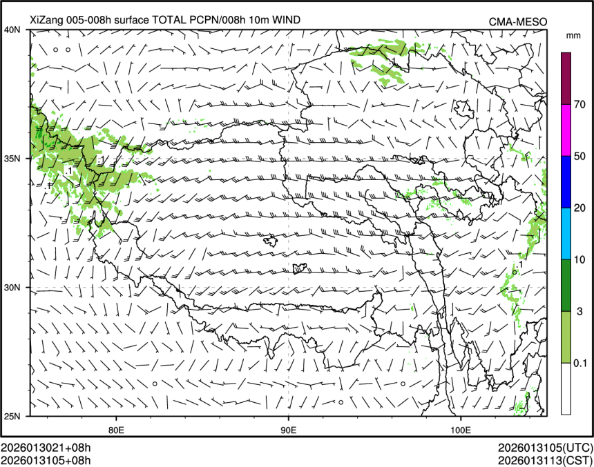 01/31 05时 +008小时
