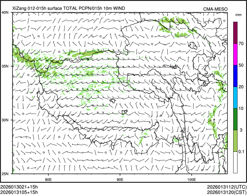 01/31 05时 +015小时