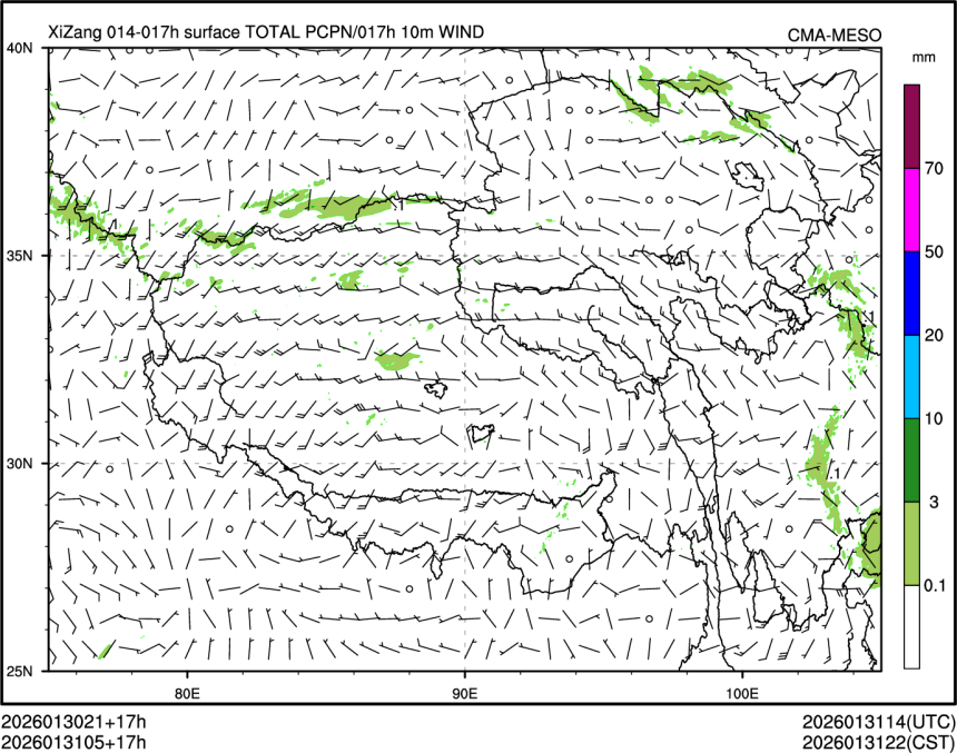 01/31 05时 +017小时