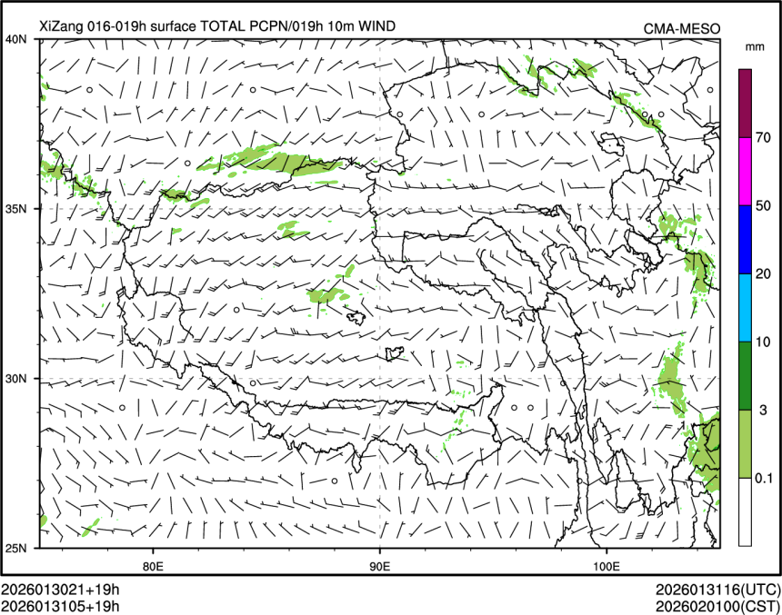 01/31 05时 +019小时