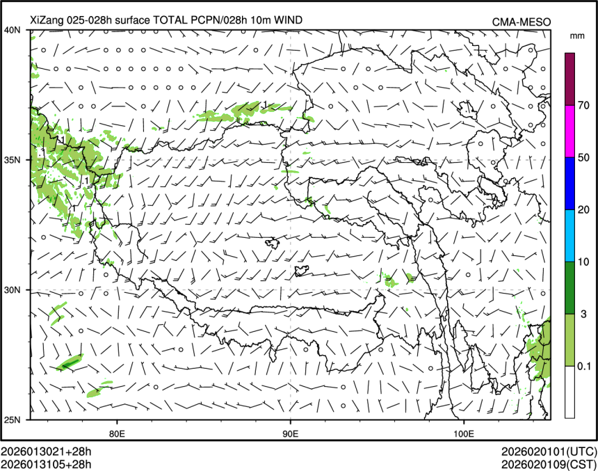 01/31 05时 +028小时