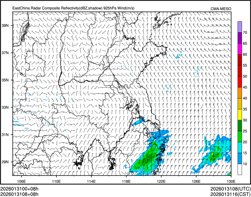 01/31 08时 +008小时