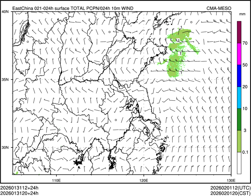 01/31 20时 +024小时