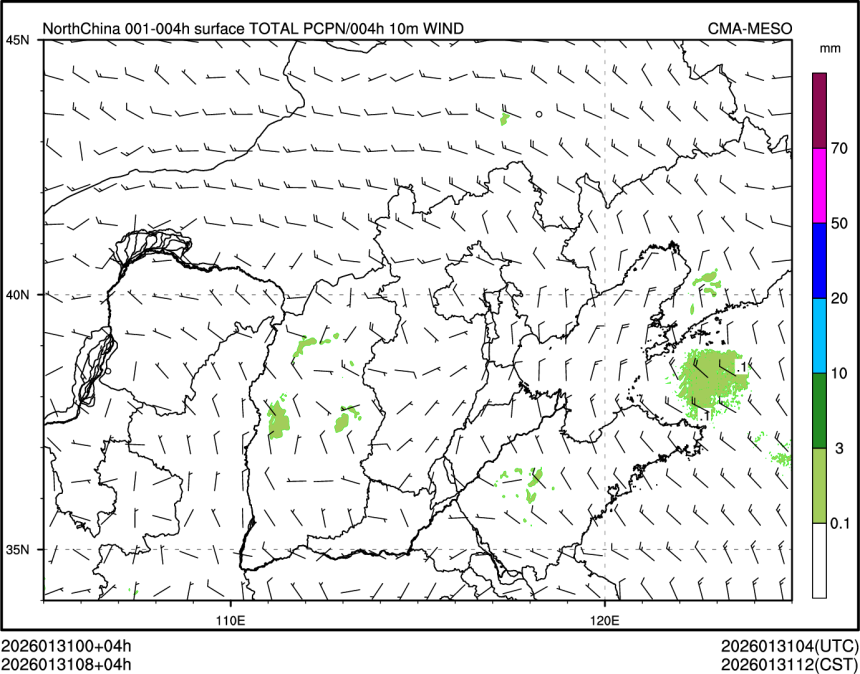 01/31 08时 +004小时