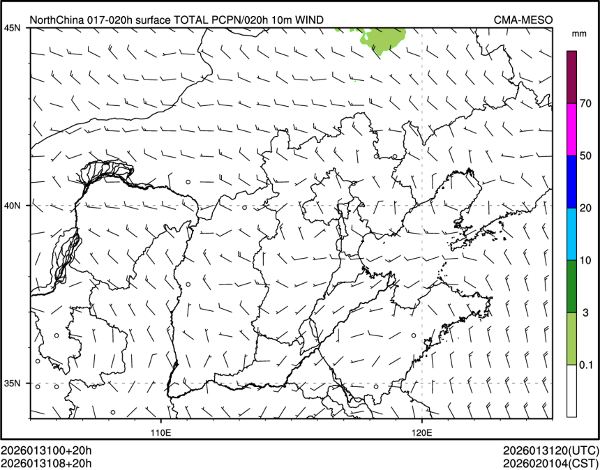 01/31 08时 +020小时