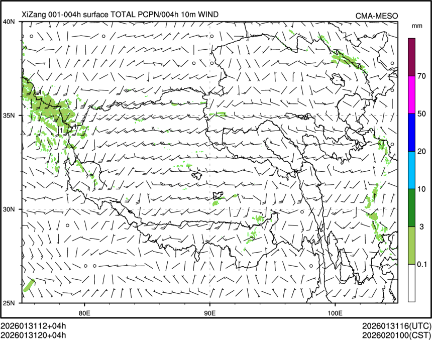 01/31 20时 +004小时
