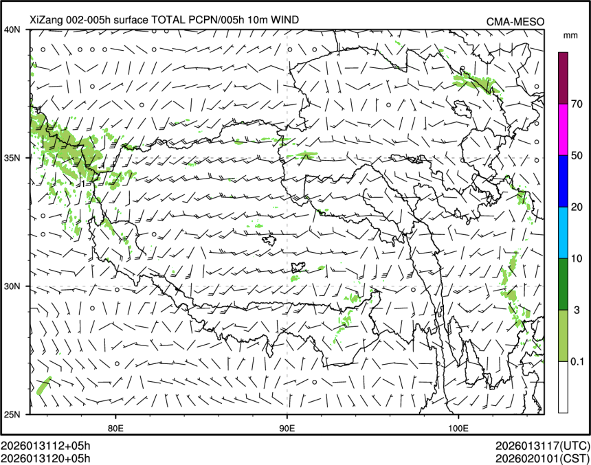01/31 20时 +005小时