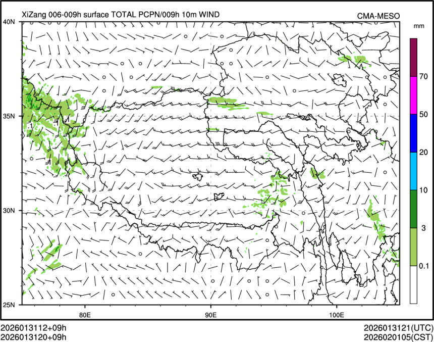 01/31 20时 +009小时