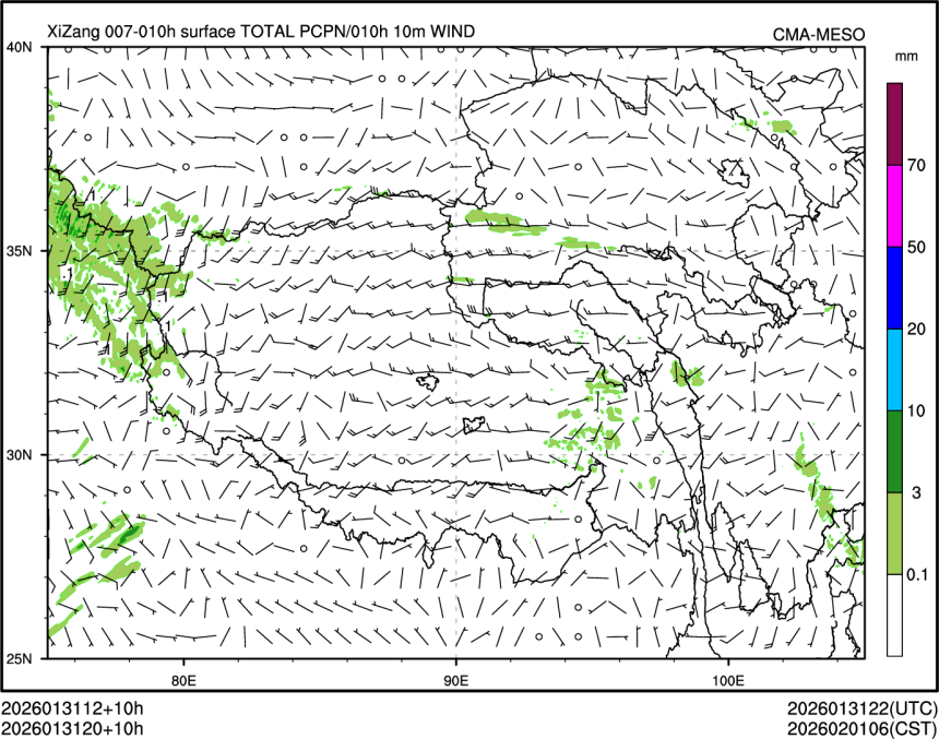 01/31 20时 +010小时