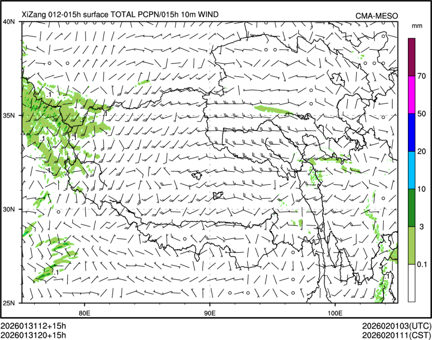 01/31 20时 +015小时