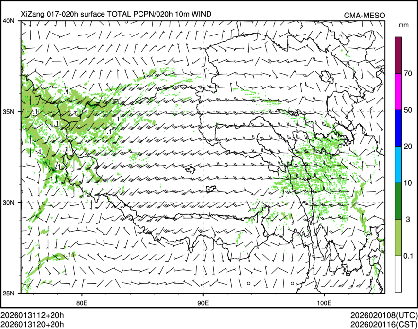 01/31 20时 +020小时
