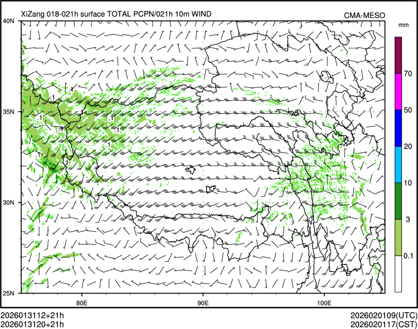 01/31 20时 +021小时
