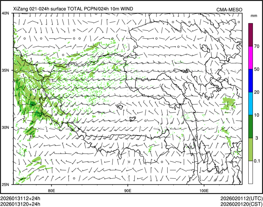 01/31 20时 +024小时