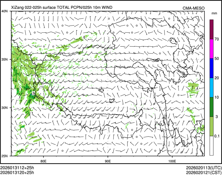 01/31 20时 +025小时