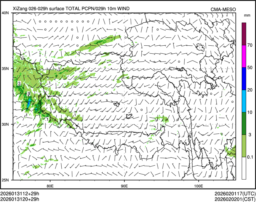 01/31 20时 +029小时