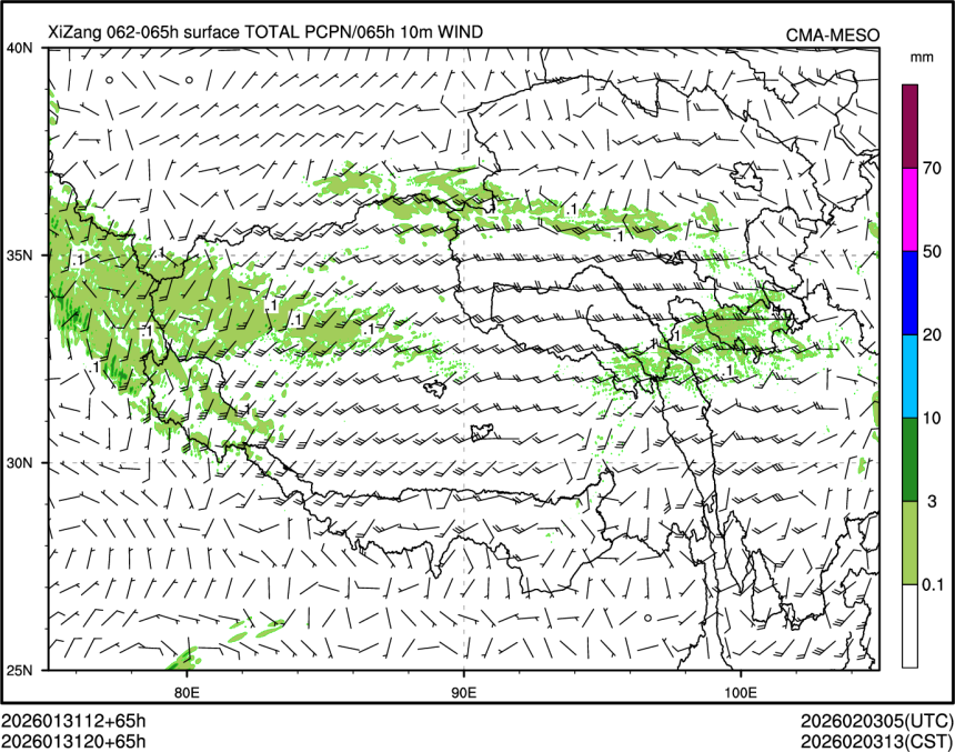 01/31 20时 +065小时