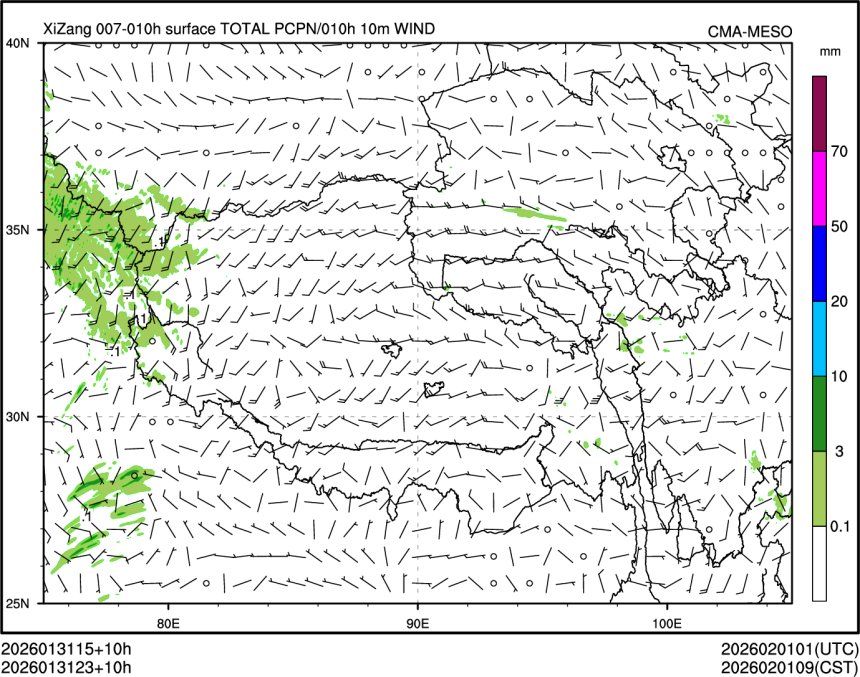 01/31 23时 +010小时