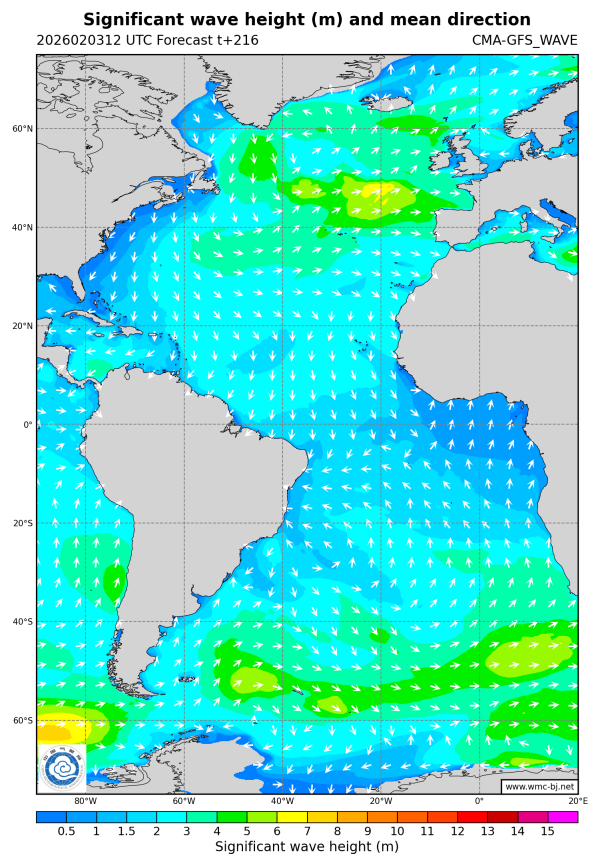 02/03 20时 +216小时