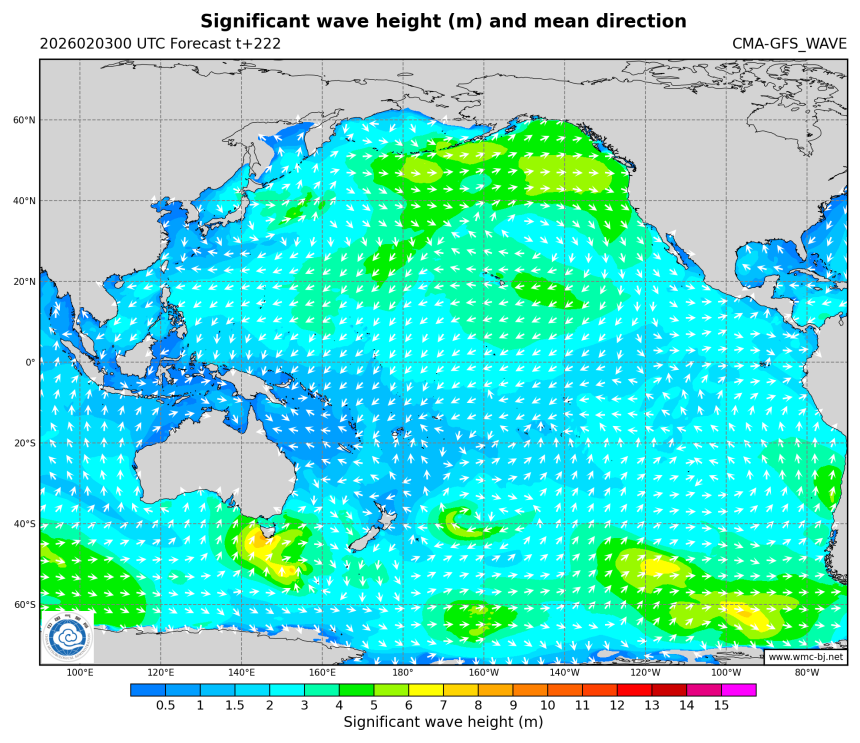 02/03 08时 +222小时