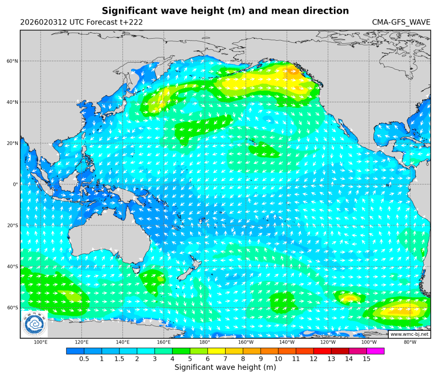 02/03 20时 +222小时