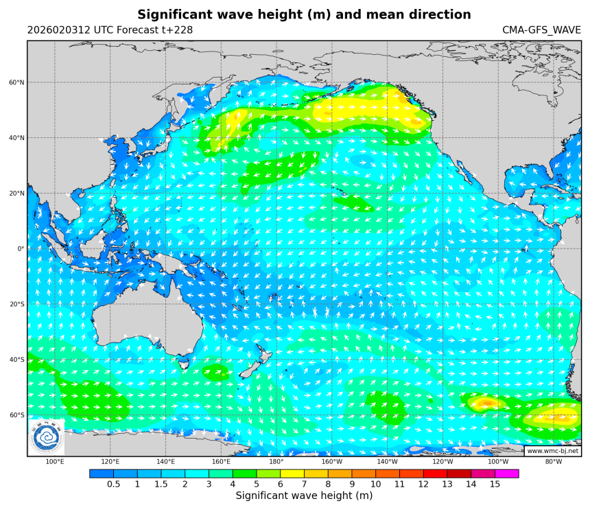 02/03 20时 +228小时