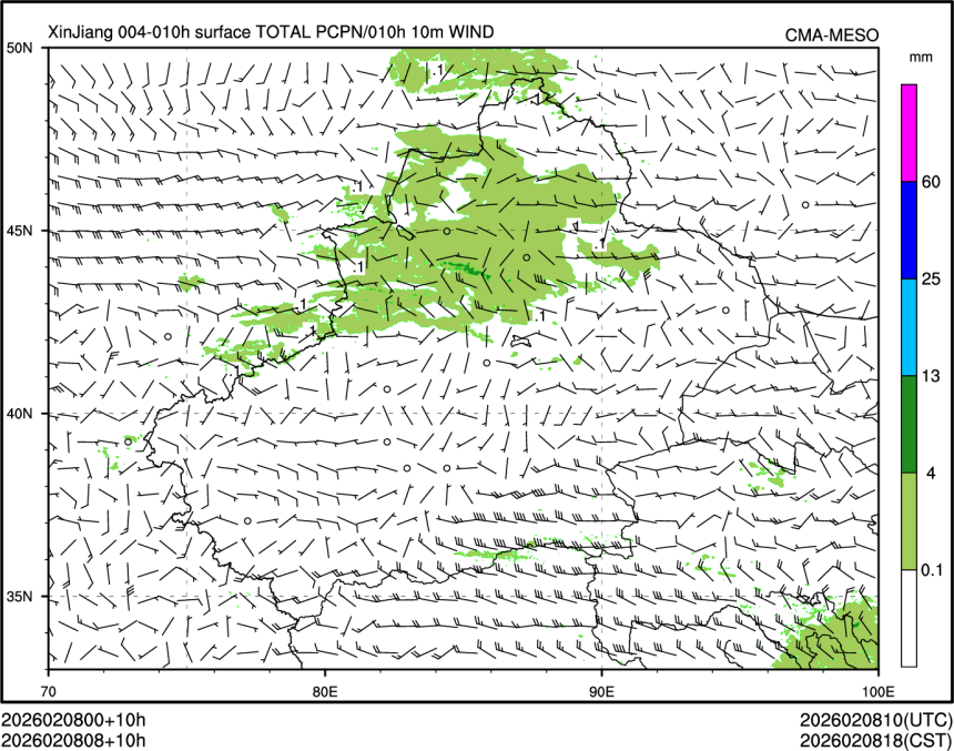 02/08 08时 +010小时