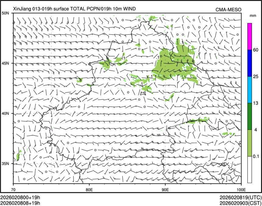 02/08 08时 +019小时